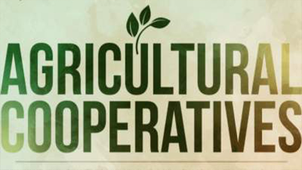 Agricultural Cooperatives – Key to Feeding the World